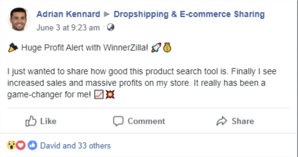 Successful dropshipping shopify store